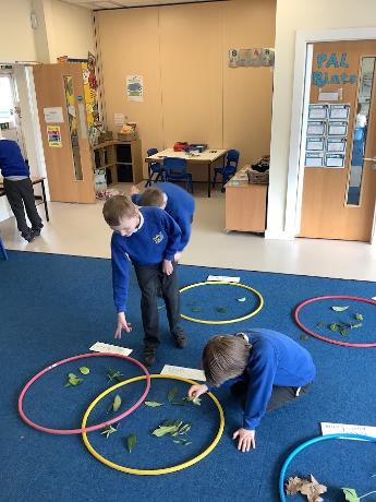 willow class - sorting